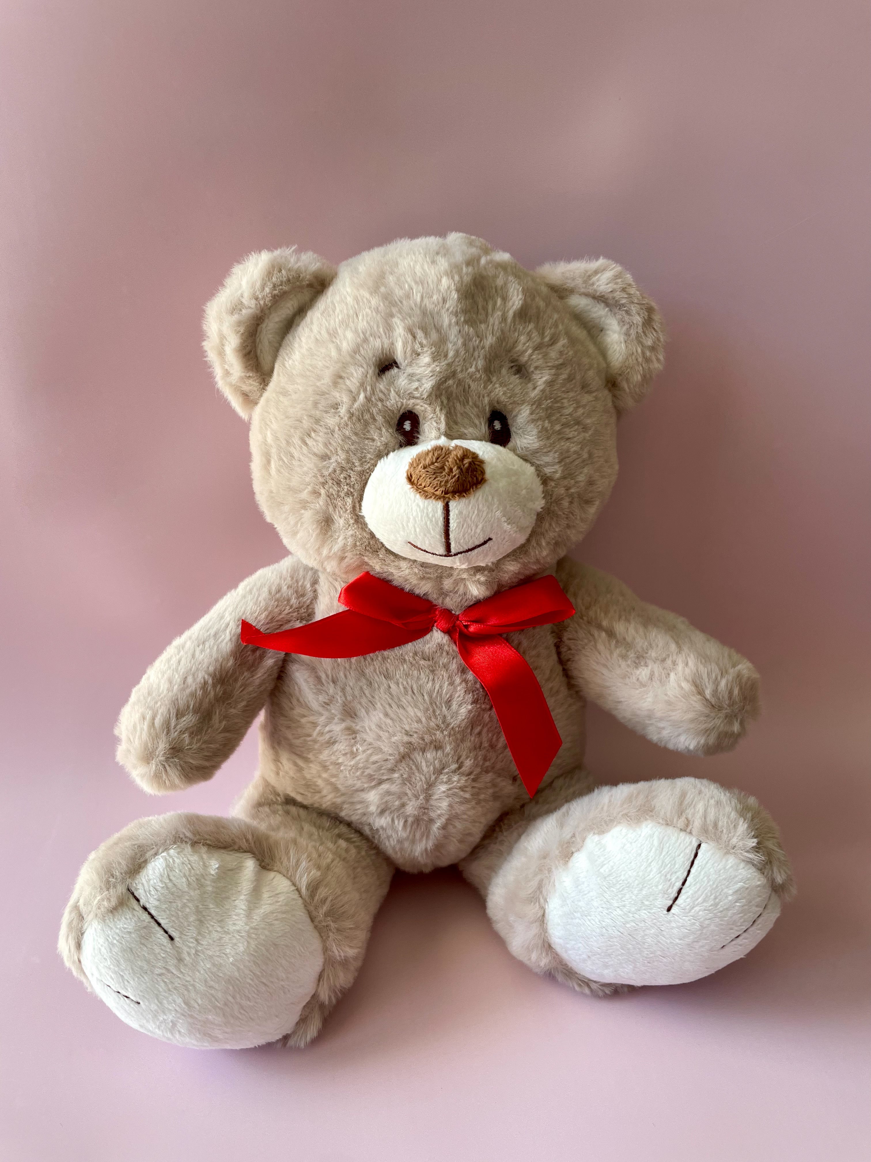 Soft Light Brown Bear With Red Ribbon (24cm)