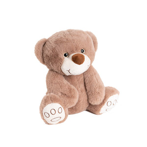 Soft Brown Teddy Bear (25cm)